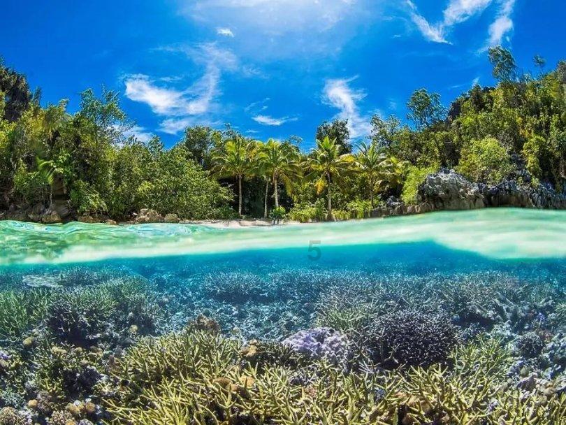 逃出漂浮的小岛