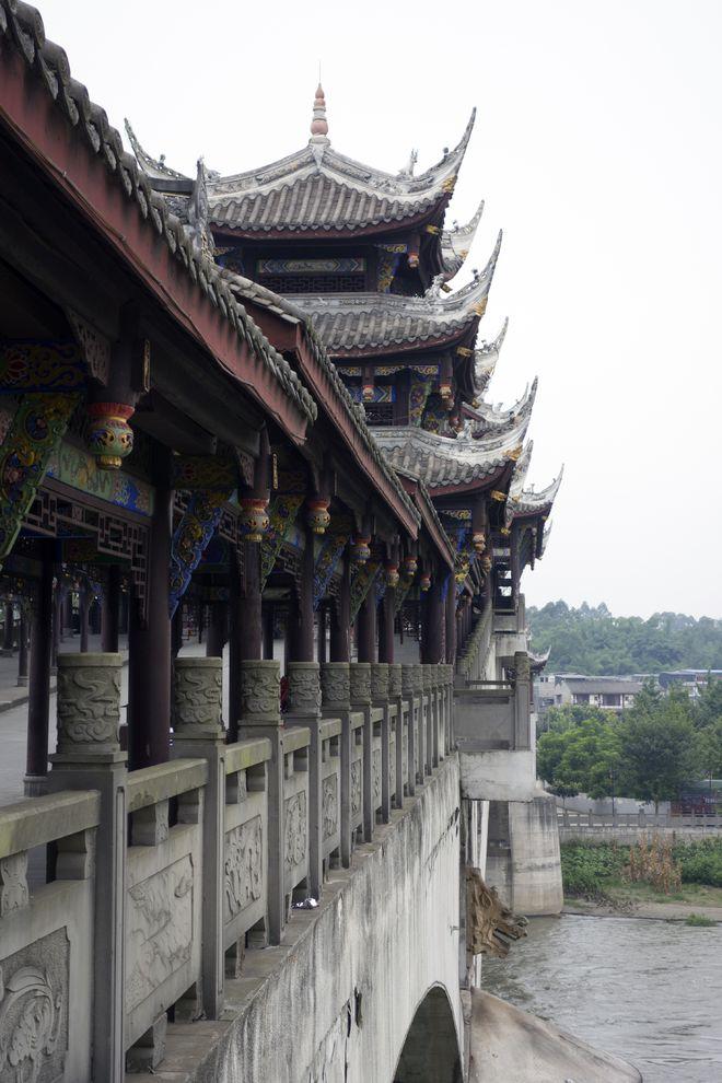 拯救精灵的土地5